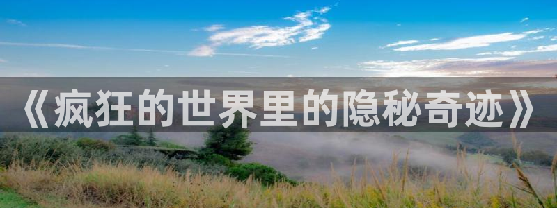 51漫画黄：《疯狂的世界里的隐秘奇迹》